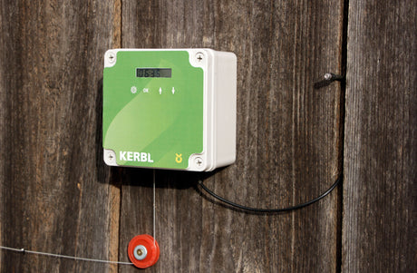 Kerbl Automatische Hühnertür