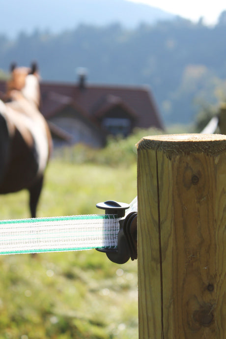 Kerbl Band-Eckisolator Cavallo