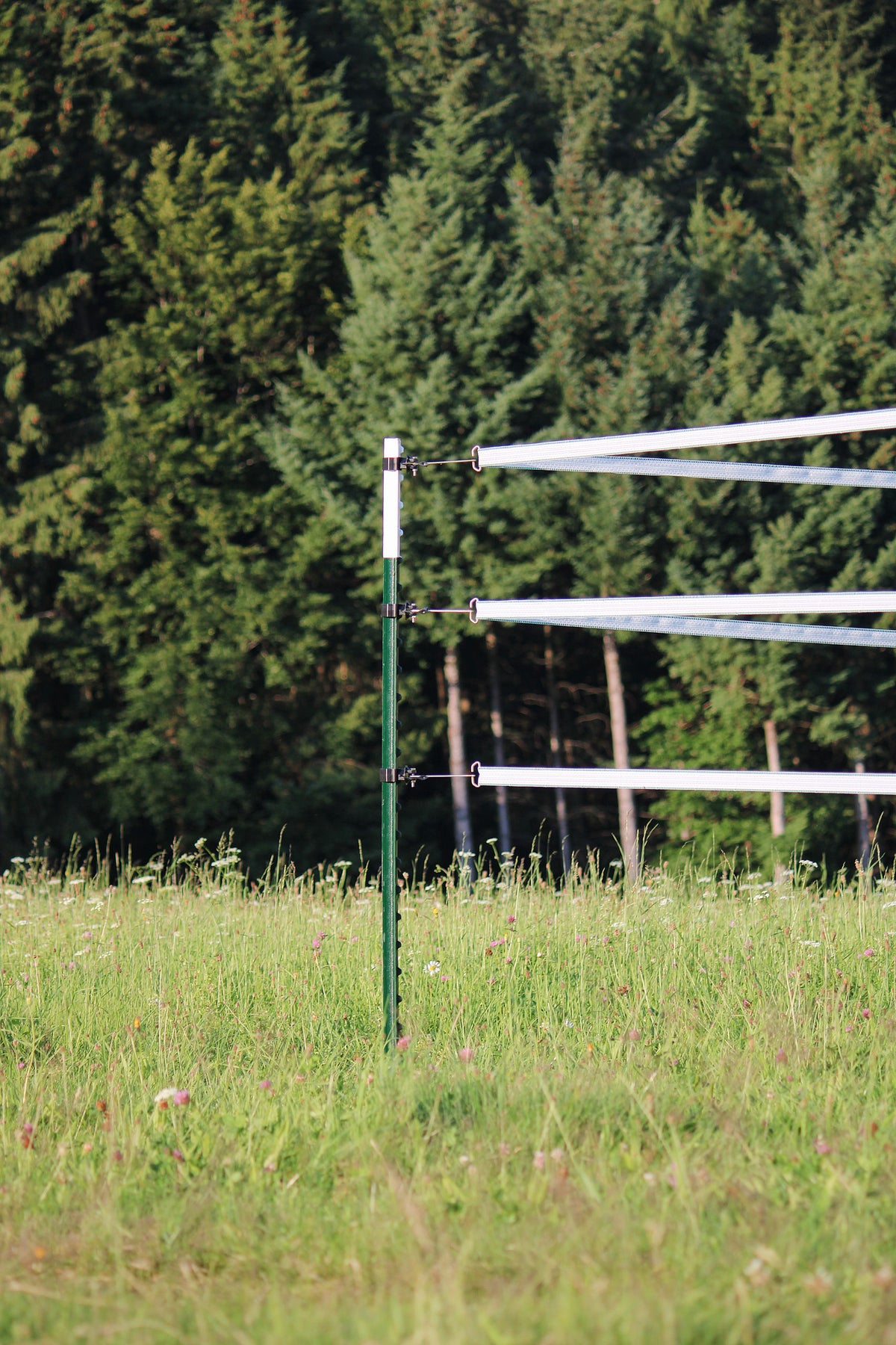Kerbl Band-/Seil-Ecklösung T-Post