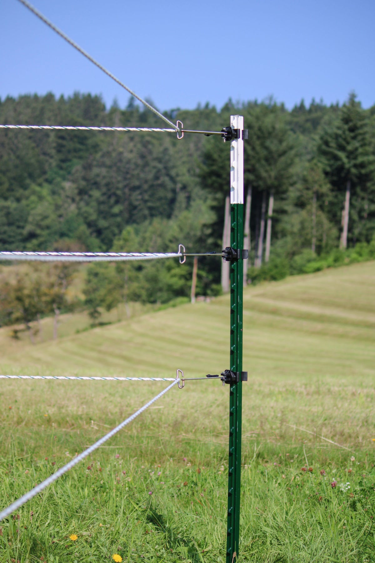 Kerbl Band-/Seil-Ecklösung T-Post