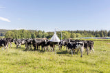 Kerbl Bremsenfalle TaonX