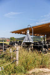 Kerbl Bremsenfalle TaonX