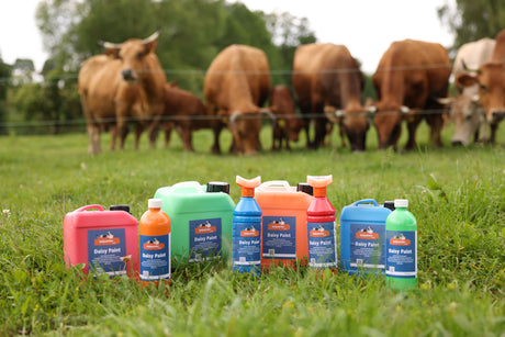 Kerbl Brunsterkennungsfarbe Daisy Paint