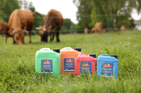 Kerbl Brunsterkennungsfarbe Daisy Paint