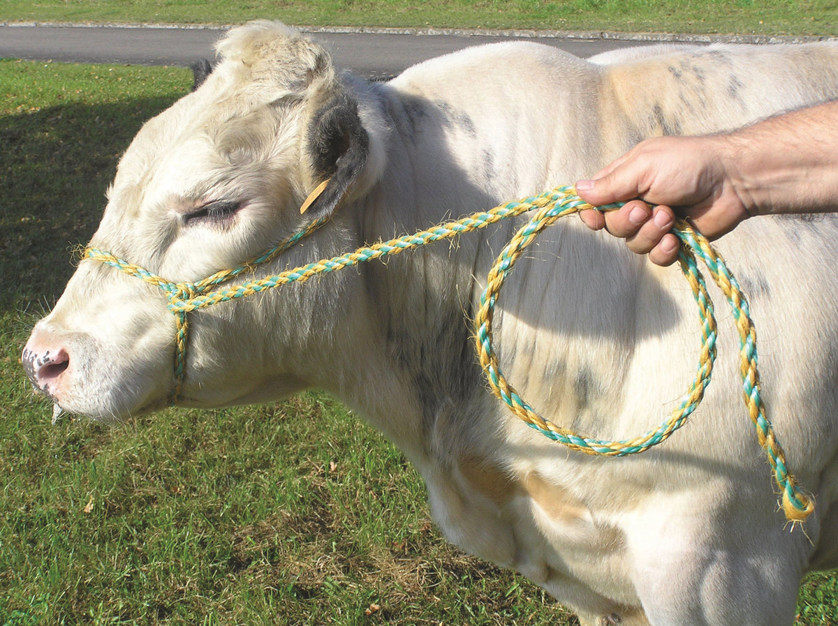 Kerbl Bullentransportstrick