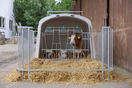 Kerbl CalfHouse Premium DUO