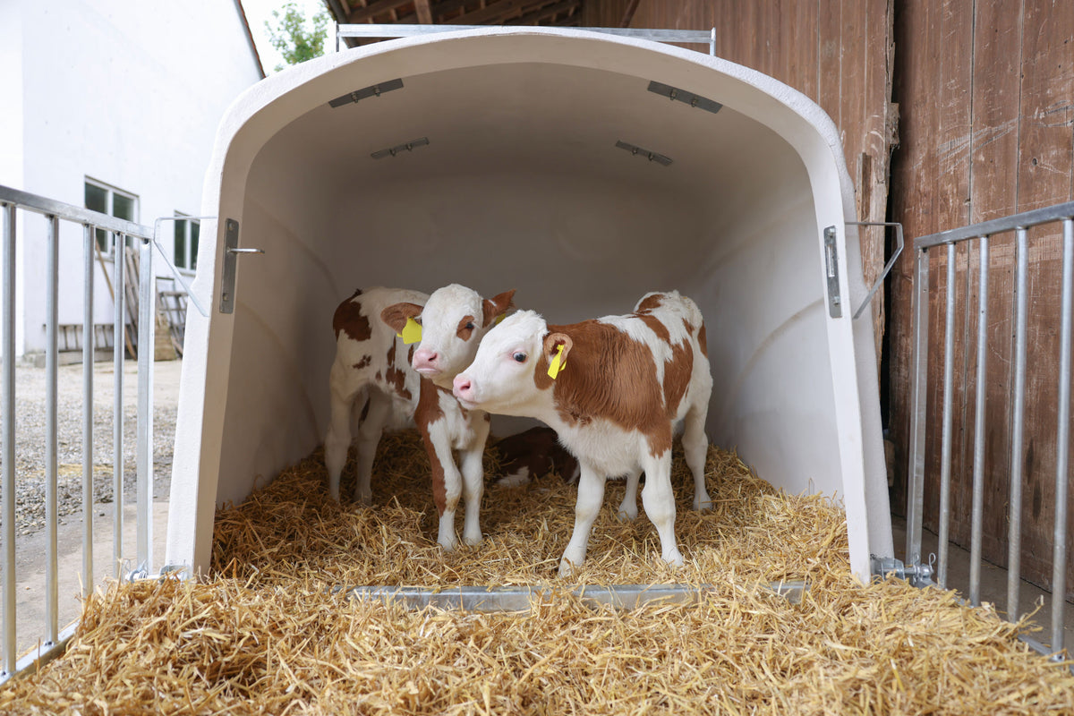Kerbl CalfHouse Premium DUO