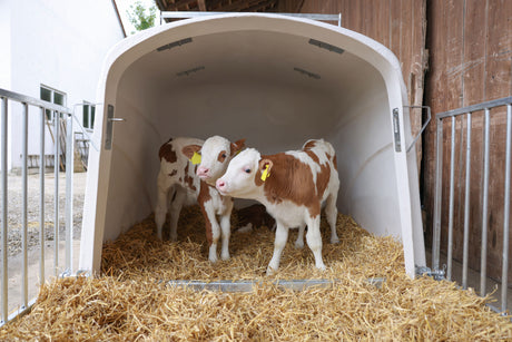 Kerbl CalfHouse Premium DUO