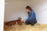 Kerbl CalfHouse Premium DUO