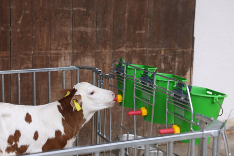 Kerbl CalfHouse Premium DUO