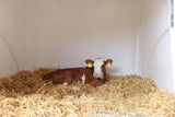 Kerbl CalfHouse Premium DUO