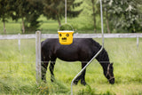 Kerbl cit Fliegenfalle FlyCage6