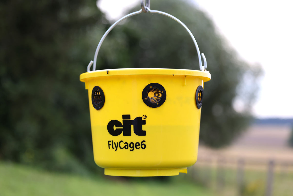 Kerbl cit Fliegenfalle FlyCage6