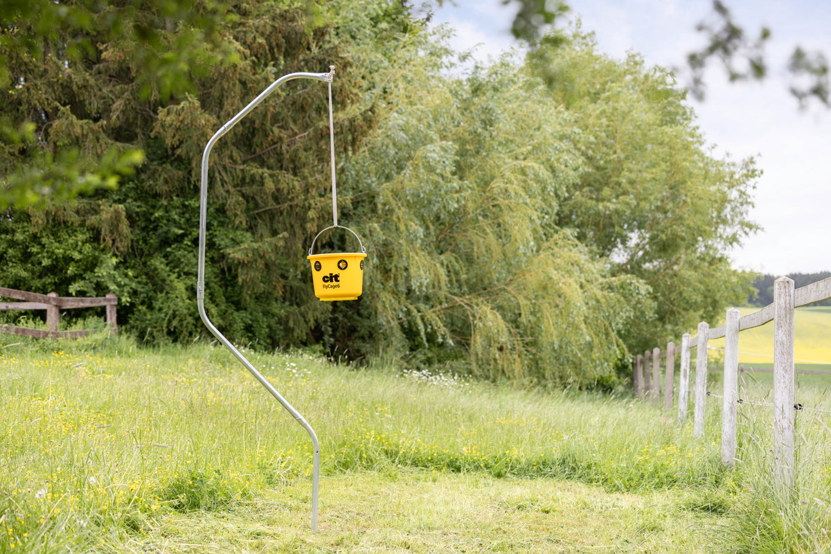 Kerbl cit Fliegenfalle FlyCage6