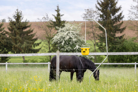 Kerbl cit Fliegenfalle FlyCage6