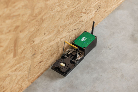 Kerbl cit ratStop Smart