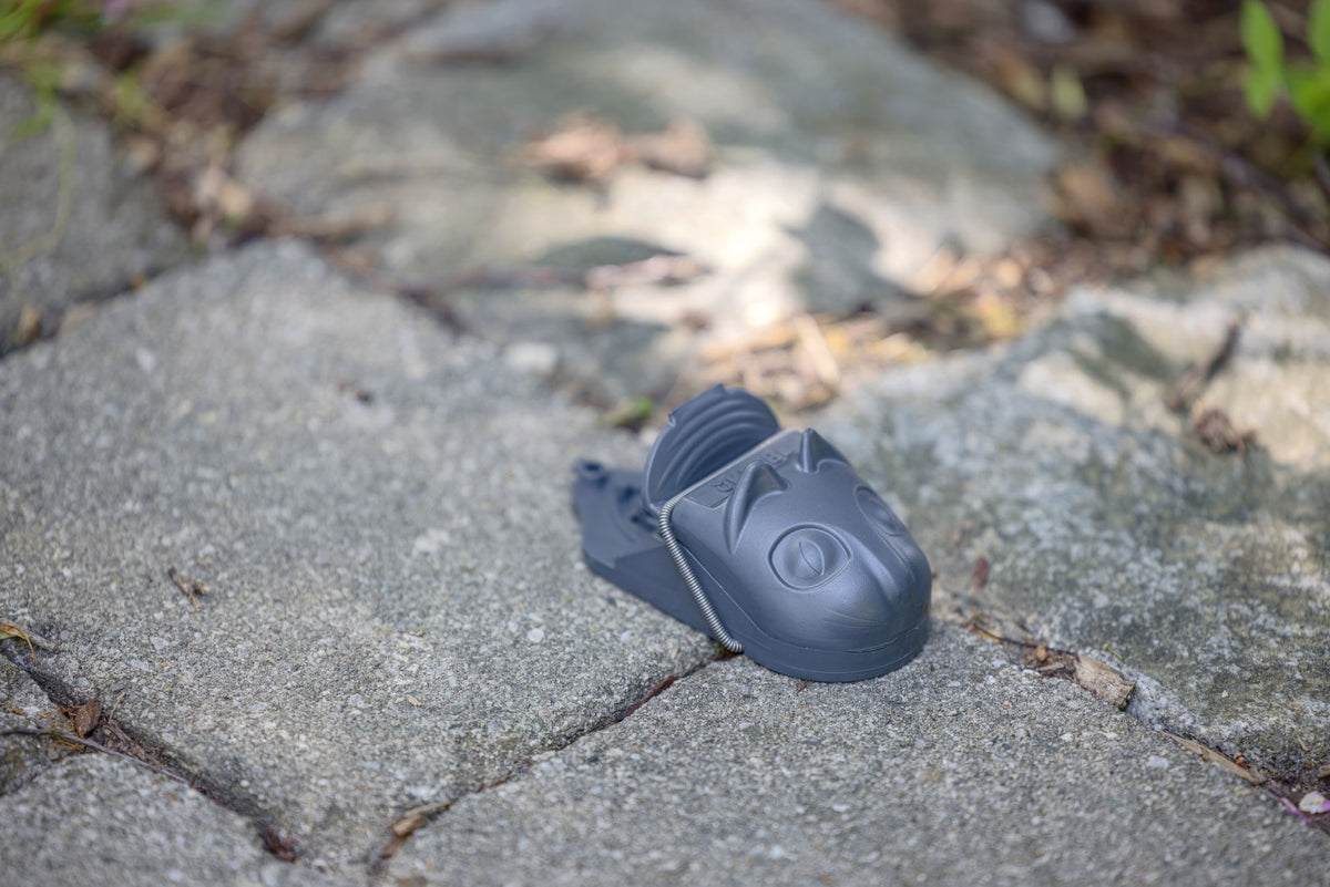 Kerbl cit Schlagfalle mouseStop