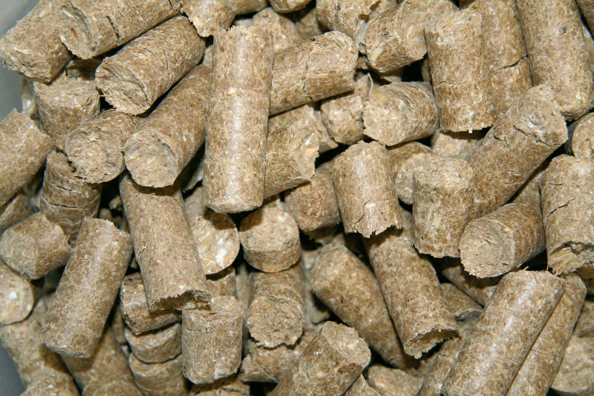 Kerbl Delizia® Belohnungswürfel Classic