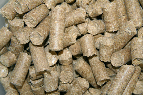 Kerbl Delizia® Belohnungswürfel Classic
