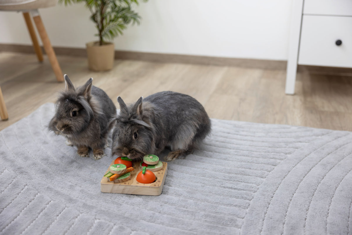 Kerbl Denk- und Lernspielzeug Veggie