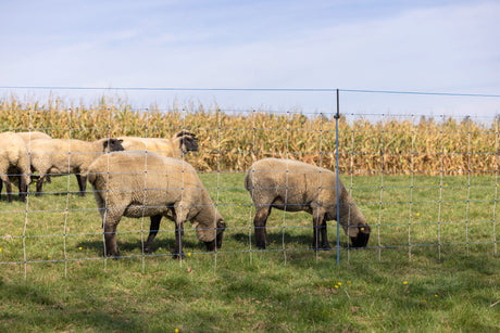 Kerbl Ergänzungsset für Weidenetze WolfStop