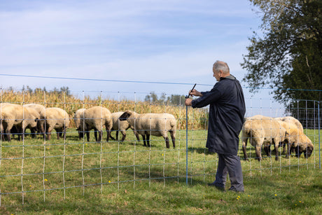 Kerbl Ergänzungsset für Weidenetze WolfStop