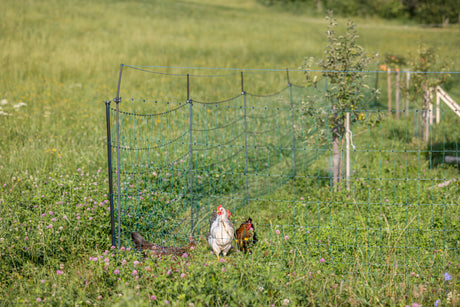 Kerbl Ergänzungsset für Weidenetze WolfStop