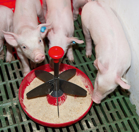 Kerbl Ferkelschale Mini-Piglet