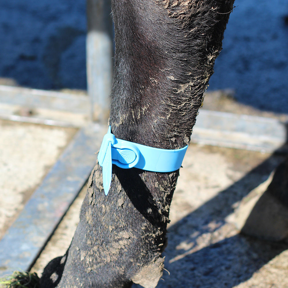 Kerbl Fesselmarkierungsband Quick Strap