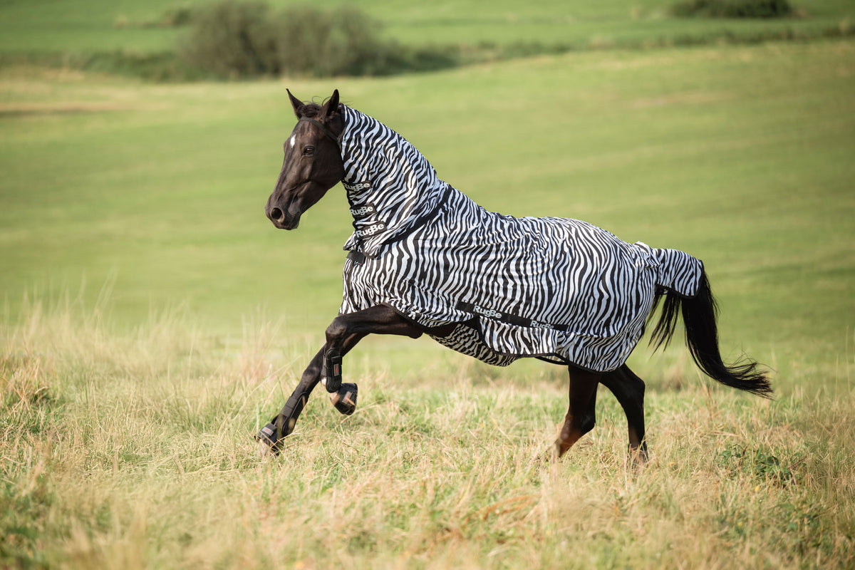 Kerbl Fliegendecke RugBe Zebra