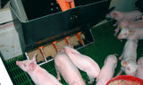 Kerbl Futterautomat für Ferkel TR-5