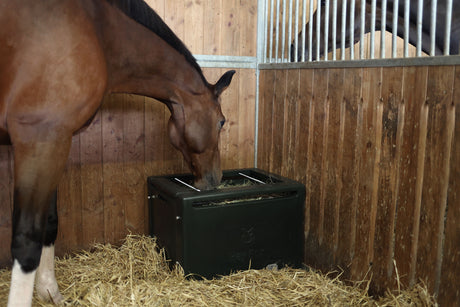 Kerbl Futterraufe HayBox