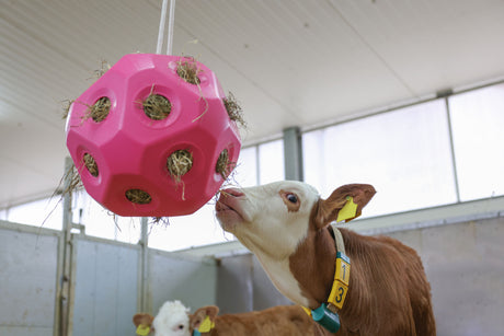 Kerbl Futterspielball