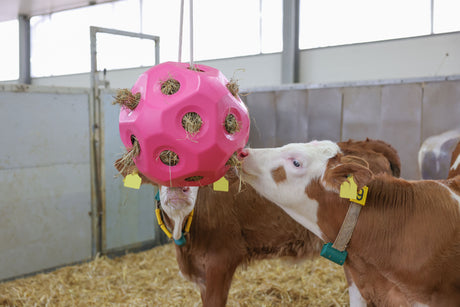 Kerbl Futterspielball