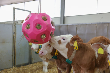 Kerbl Futterspielball