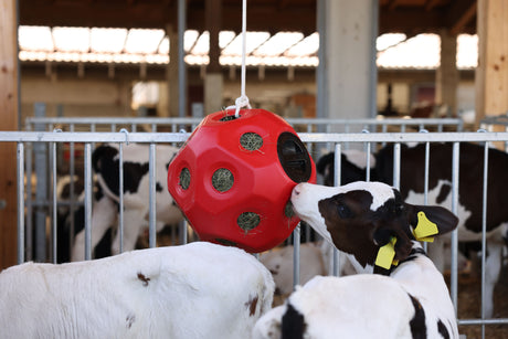 Kerbl Futterspielball