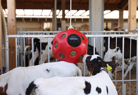 Kerbl Futterspielball