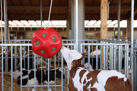 Kerbl Futterspielball