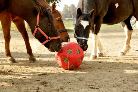 Kerbl Futterspielball
