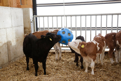 Kerbl Futterspielball