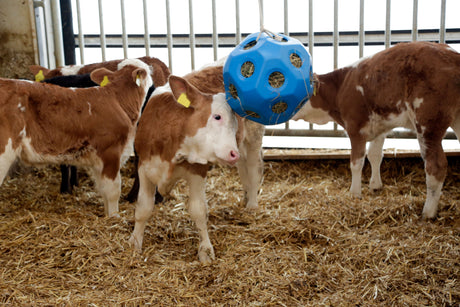 Kerbl Futterspielball