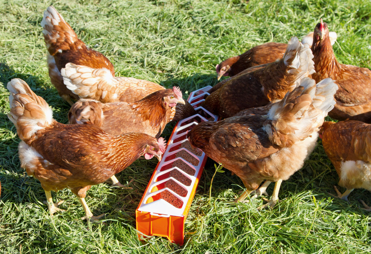 Kerbl Futtertrog