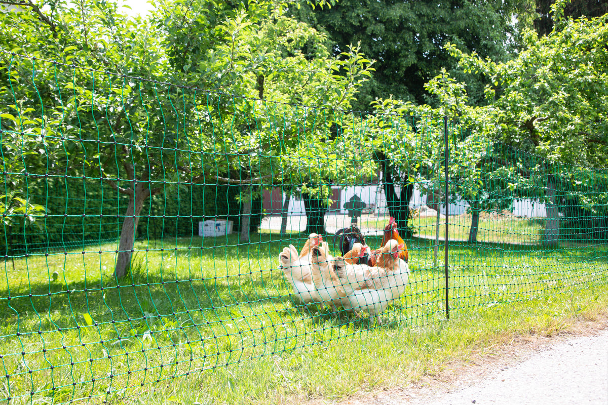 Kerbl Geflügelnetz