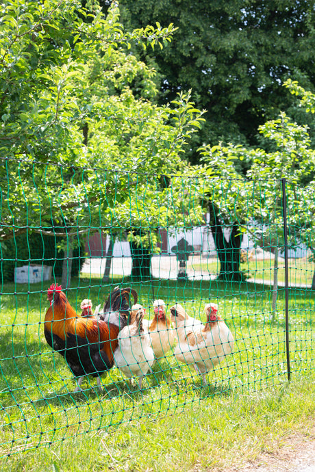 Kerbl Geflügelnetz