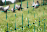 Kerbl Geflügelnetz