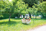 Kerbl Geflügelnetz