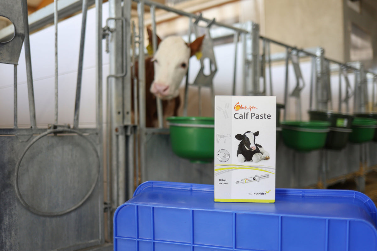Kerbl Globigen Calf Paste