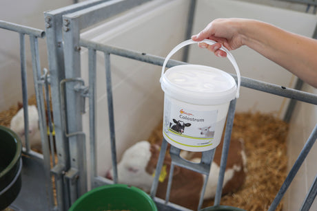 Kerbl Globigen Colostrum