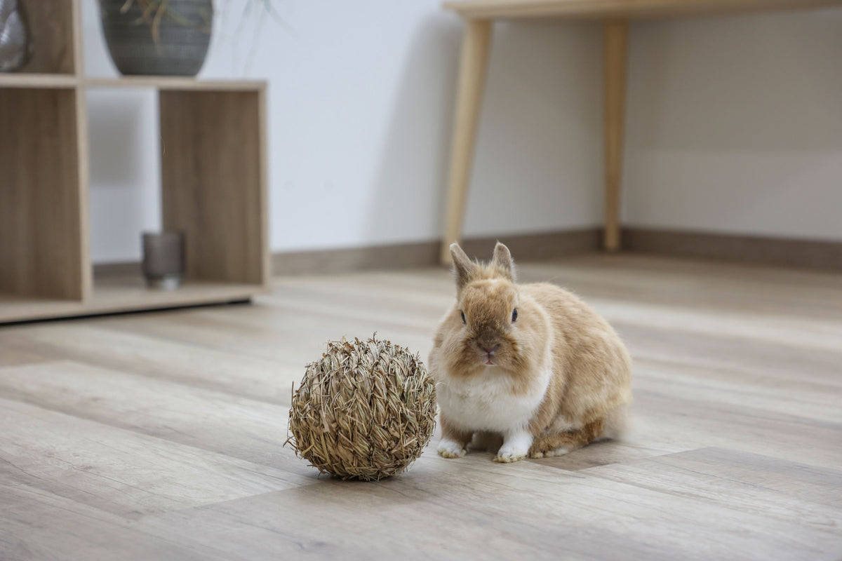 Kerbl Grasball