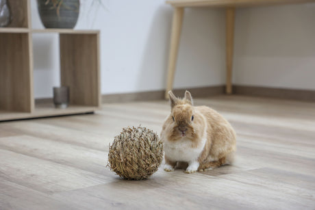 Kerbl Grasball